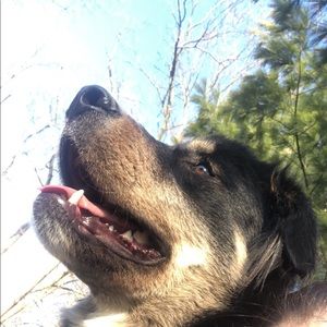 Meet your Posher, Elizabeth